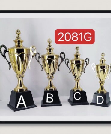 ถ้วยรางวัล ถ้วยอิตาลีชุดกลาง B ถ้วยรางวัลพรีเมี่ยม ร้านโซเล็กซ์ถ้วยรางวัล 2081G